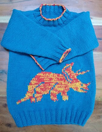 Triceratops Jumper #2