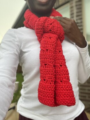 Wrapped up and Twisted Scarf
