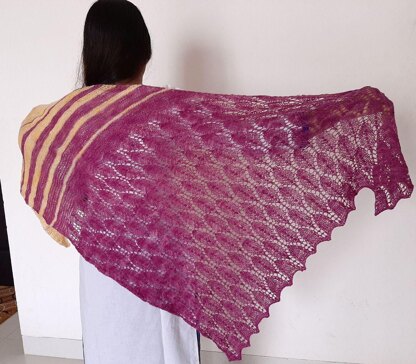 Sindhu Shawl