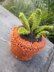 Potted Plant Container