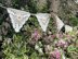 Julie's Bunting