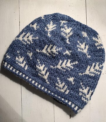 Silver Fern Hat