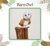 Barn Owl