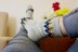 Rambla Socks