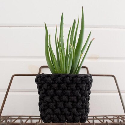 Project : 3 Plant Cozies