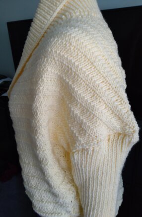 Textured shawl collar jacket #2