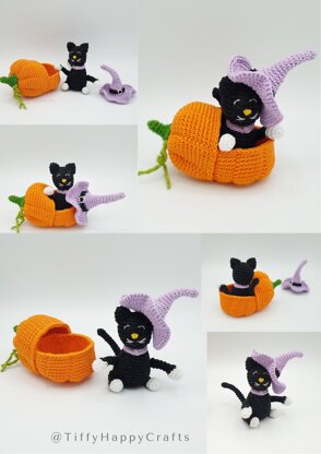 Black Cat in Pumpkin