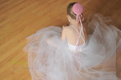 Ballerina Bun Cover