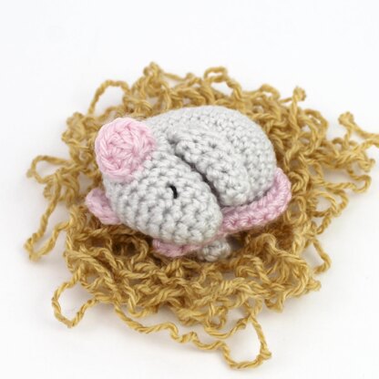 Sleeping Baby Mouse