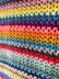 V Stitch Crochet Blanket
