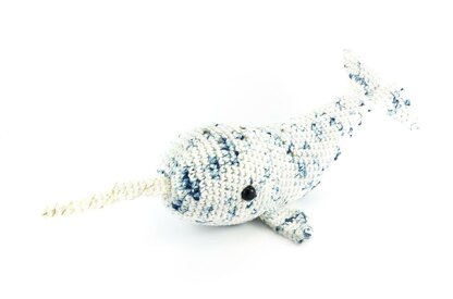 Stargazer Narwhal