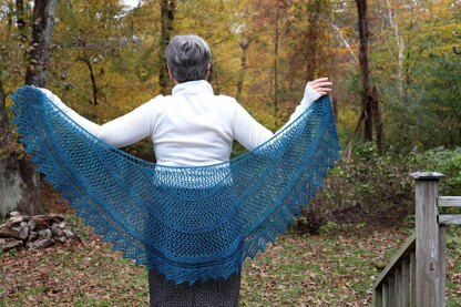 Meshing Around Shawl