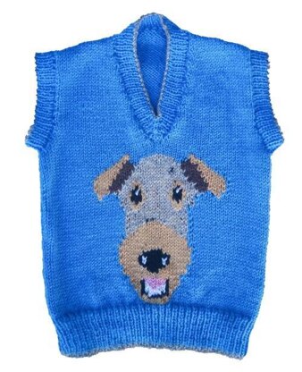 Airedale Terrier sweater, hotwater bottle cover, hat, dog toys