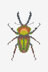 Beetle in DMC - PAT0387 - Downloadable PDF