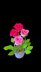 Crochet Rose flowers