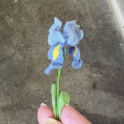 Iris flower