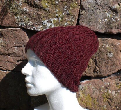 Basic Brioche Hat