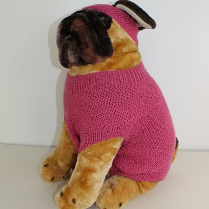 Dog Moss Stitch Coat and Headband - knitting pattern