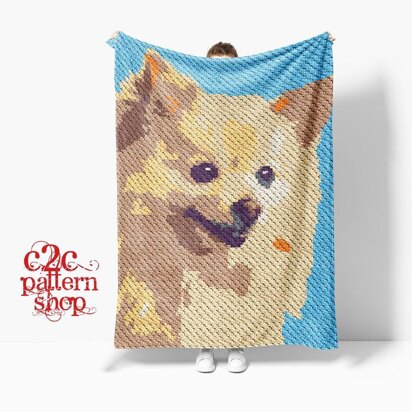 C2C Pomeranian Dog Crochet Pattern