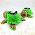Turtle Custom Kiwi