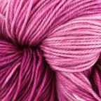 Wild Orchid (2637)