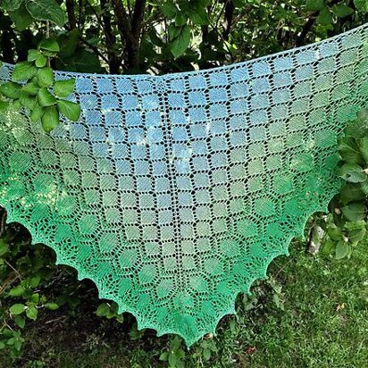 Tortoise shawl