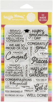 Waffle Flower Crafts Clear Stamps 4"X6" - Graduation Sentiments