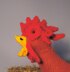 Hattie Hen Toy Chicken & Eggs