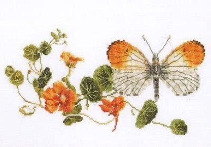Thea Gouverneur Bv Orange Tip Butterfly and Nasturtiums Cross Stitch Kit