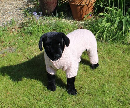 Dog Chunky Garter Stitch Onesie