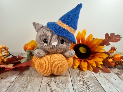 Salem the Pumpkin Cat