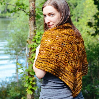Snakes and Spiders Shawl