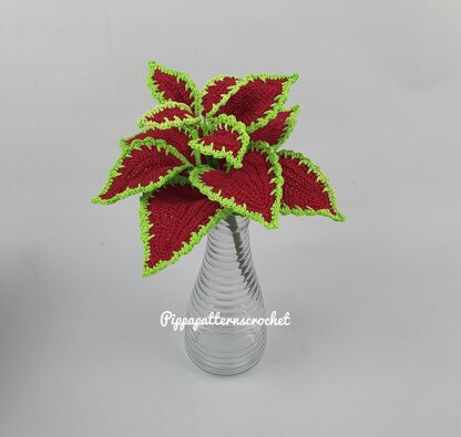 Coleus Red