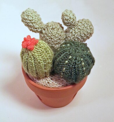 Knitted Cactus Garden