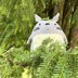 Pattern: knitted toy Totoro