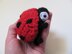 Amigurumi Ladybug