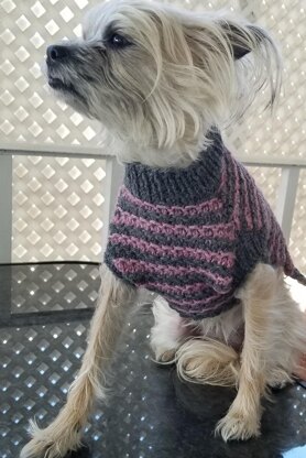 Snazzy Stripes Dog Sweater - XS,S, M