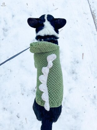 Doggo 16 dragon sweater