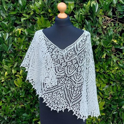 Epiphyllum shawl