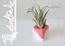 Geometric Air Planters (2015007)