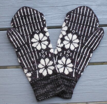 Phlox Mittens