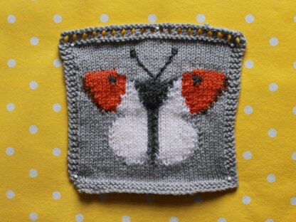 British Butterflies Intarsia Squares