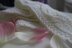 Good Winds Scarf