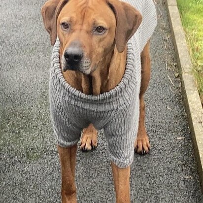 Big Comfy Dog Sweater - knitting pattern