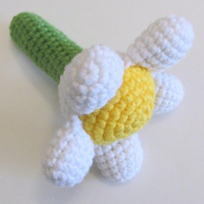 Daisy Rattle