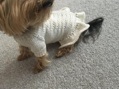 Knitted Dress for Dogs