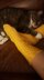 Look Around Socks