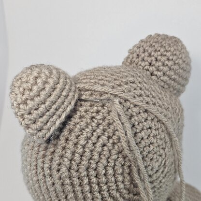 The Forever Hug Bear