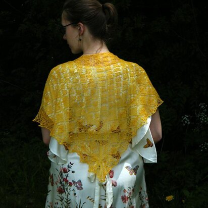 Sun bird shawl