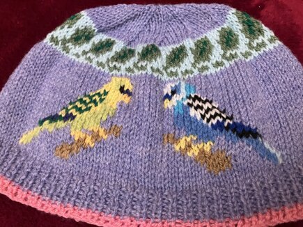 Budgie Bird Hat #8